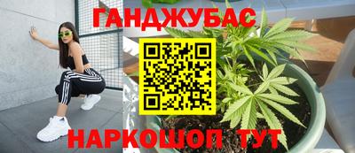 гидра Кандалакша