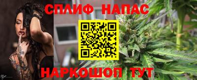гидра Кандалакша