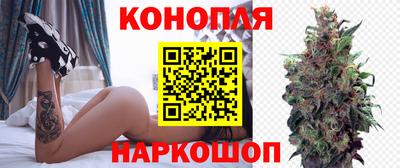 гидра Кандалакша