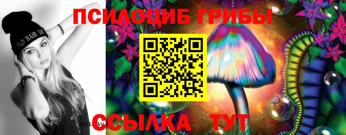 Псилоцибиновые грибы GOLDEN TEACHER Кубинка