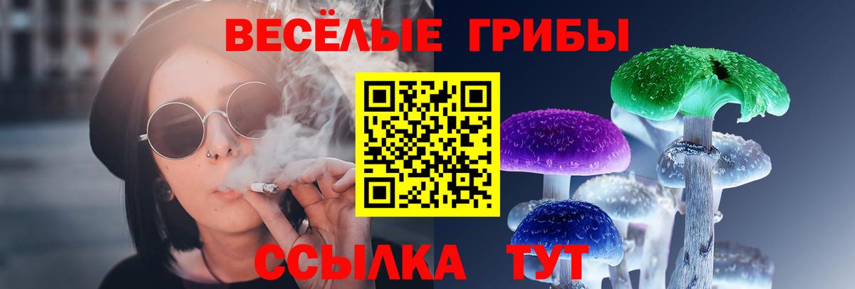 Псилоцибиновые грибы ЛСД  Вход с VPN  Кубинка  Галлюциногенные грибы Cubensis 